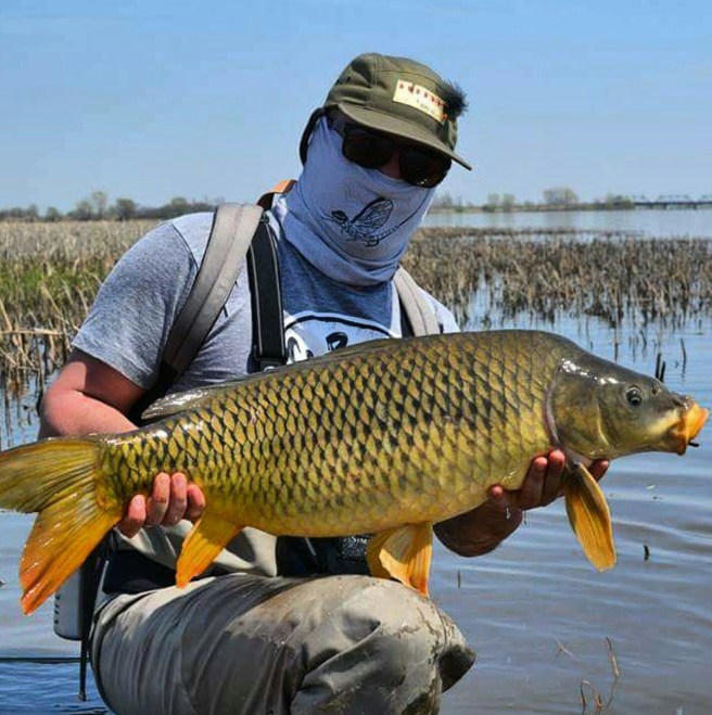 Screenshot_20170321-102132