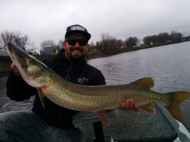 15094980_1144659688903596_6536110469340130344_n