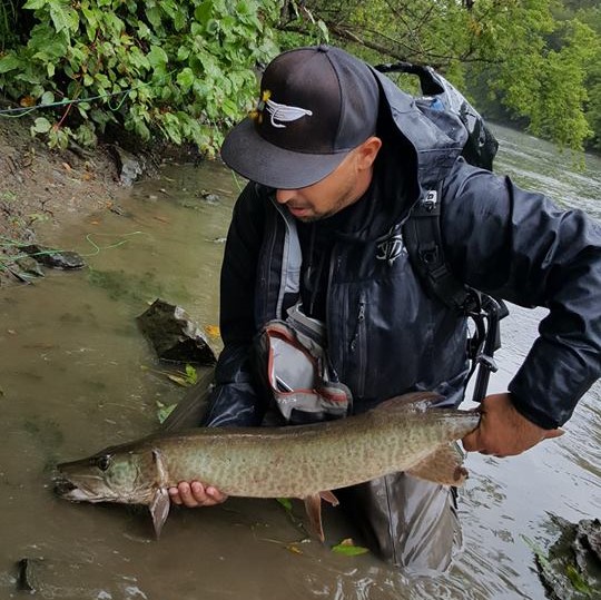 22049976_1481501778552717_4254899689634468167_n